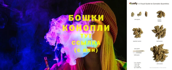 молекула духа Бронницы